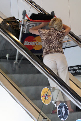  Escalators - Catchall 