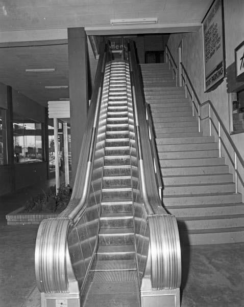  Noteworthy Escalators 