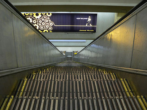  Wynyard Station 