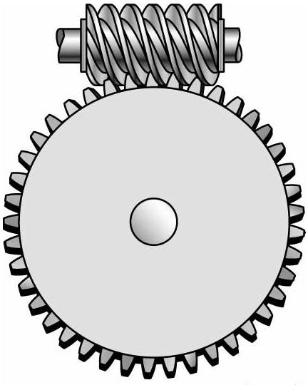  Worm Gear 