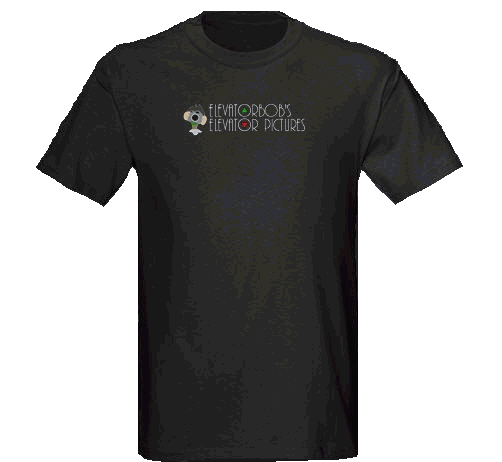 Buy a T-Shirt...only $24!